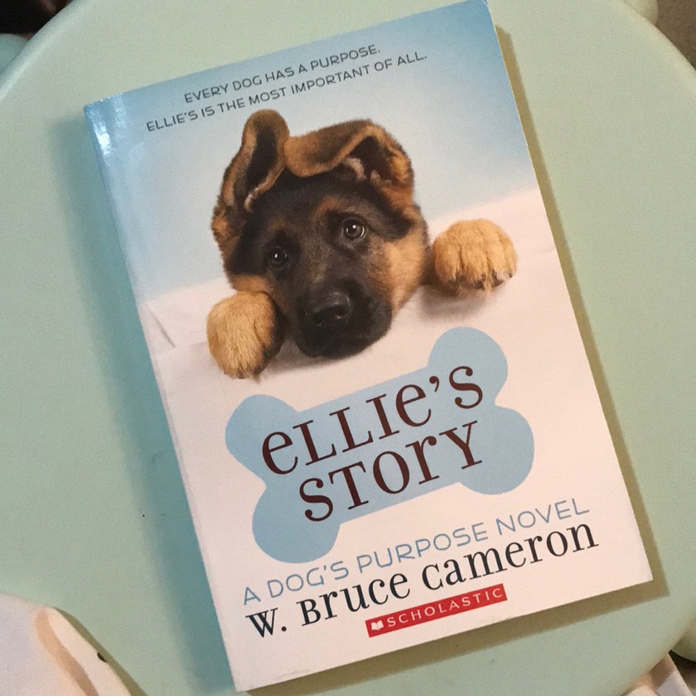 Ellie's Story book